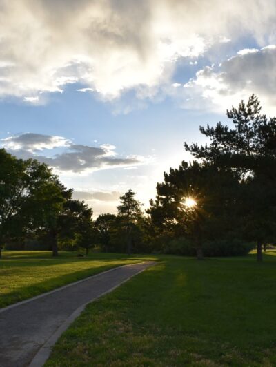 Wildflower Park - Albuquerque, NM