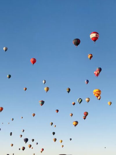 Wildflower Park - Albuquerque, NM