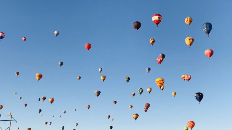 Wildflower Park - Albuquerque, NM