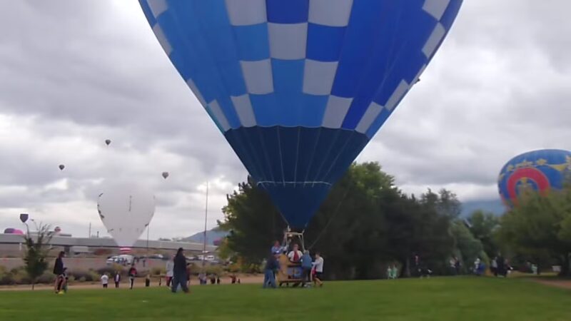 Wildflower Park - Albuquerque, NM