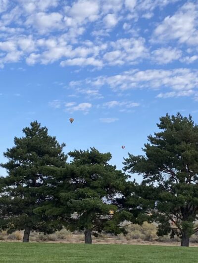 Wildflower Park - Albuquerque, NM