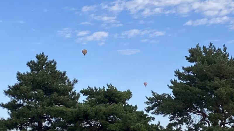 Wildflower Park - Albuquerque, NM