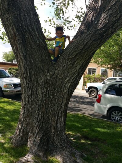 Graves Park - Albuquerque, NM