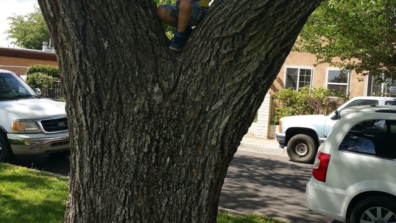 Graves Park - Albuquerque, NM