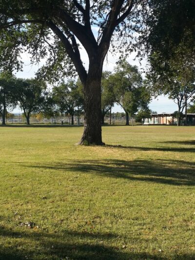 Graves Park - Albuquerque, NM