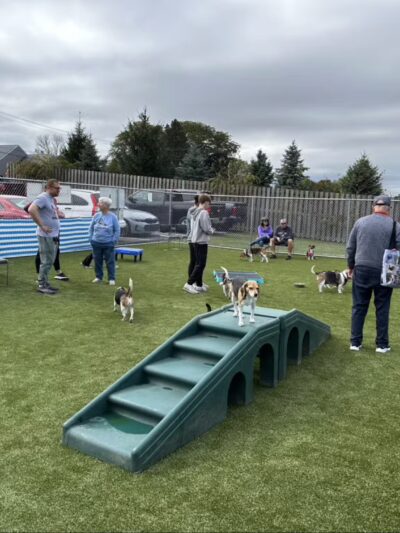 Cold Nose Lodge - Alburtis, PA