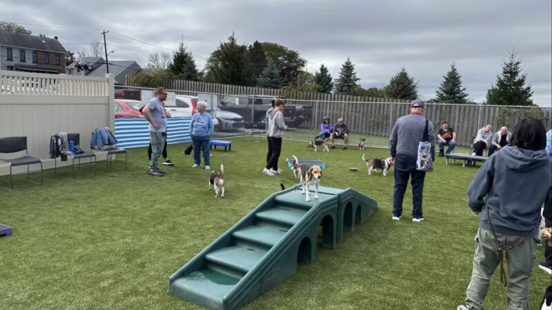 Cold Nose Lodge - Alburtis, PA