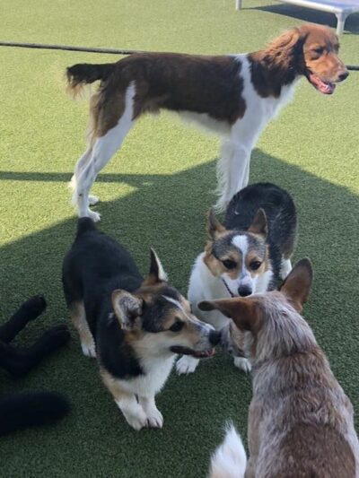 Cold Nose Lodge - Alburtis, PA