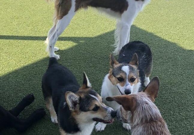 Cold Nose Lodge - Alburtis, PA