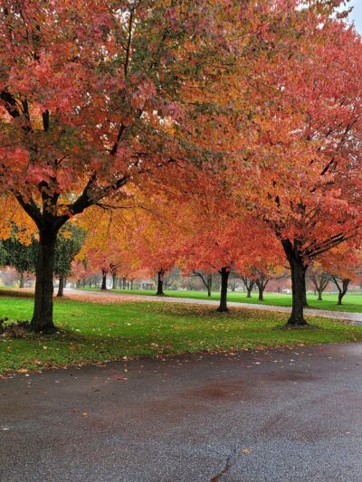Creamery Park and Soccer Fields - Alburtis, PA