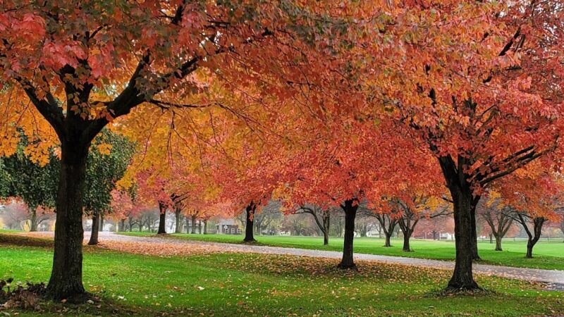 Creamery Park and Soccer Fields - Alburtis, PA