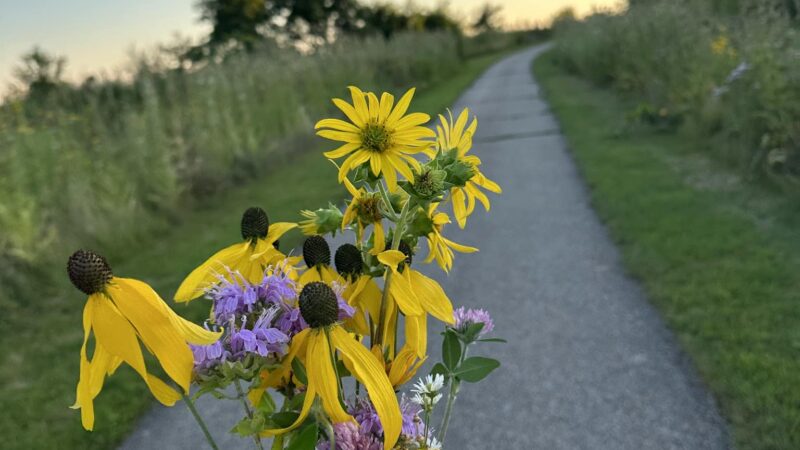 Algonquin Lakes Park - Algonquin, IL