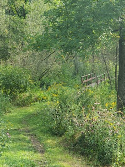 Braewood Park - Algonquin, IL