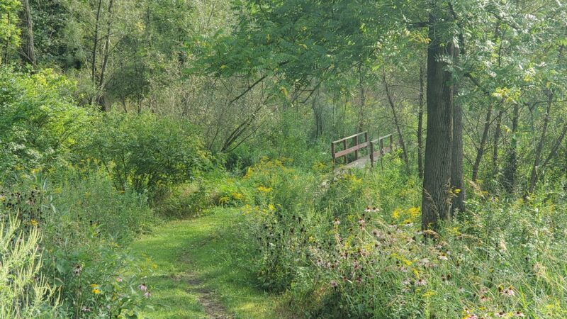 Braewood Park - Algonquin, IL