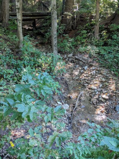 Buffalo Park Forest Preserve - Algonquin, IL