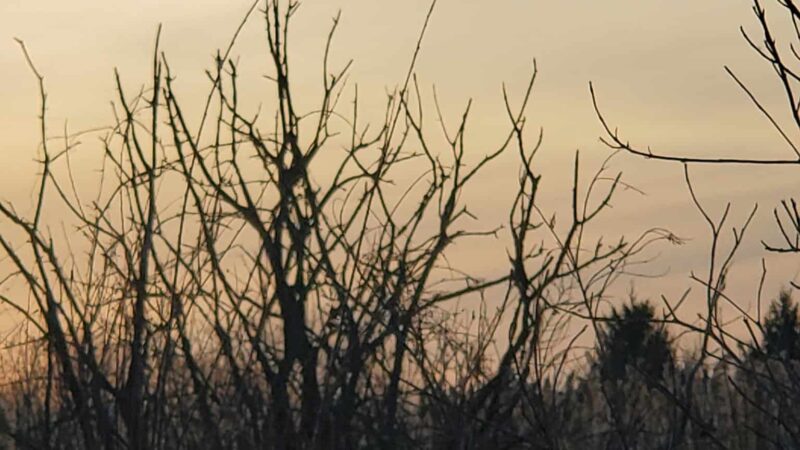High Hill Park and Nature Preserve - Algonquin, IL