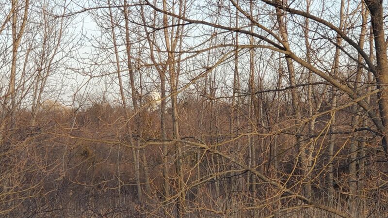 High Hill Park and Nature Preserve - Algonquin, IL