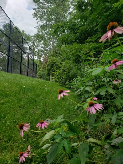 Pioneer Park - Algonquin, IL