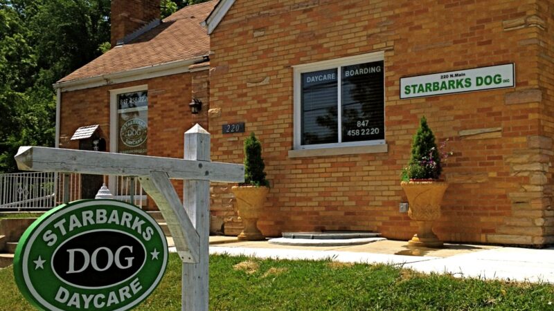 The Dog Place - Algonquin, IL