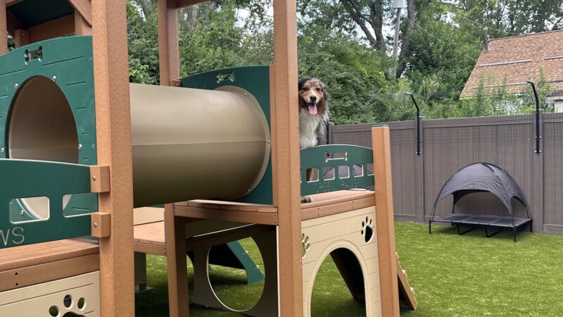 The Dog Waggin' - Algonquin, IL