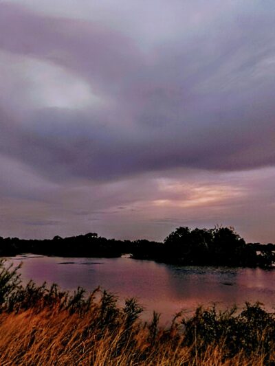 Lake Findley Park - Alice, TX