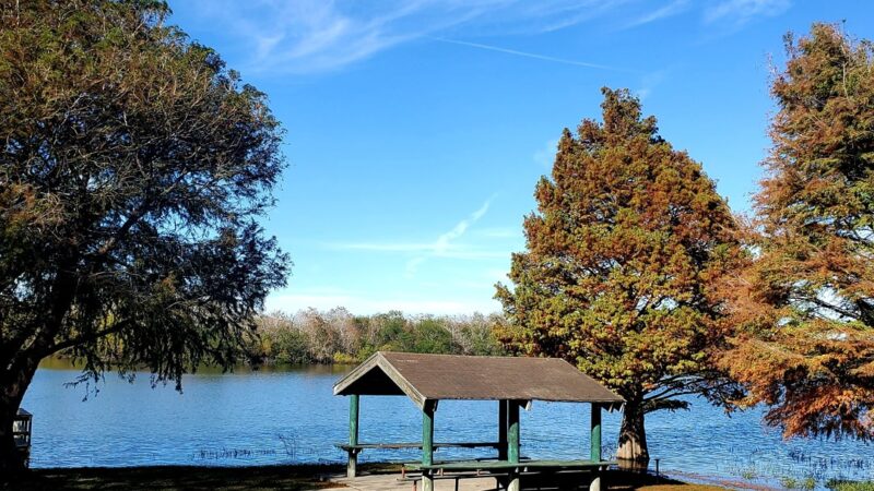 Lake Findley Park - Alice, TX