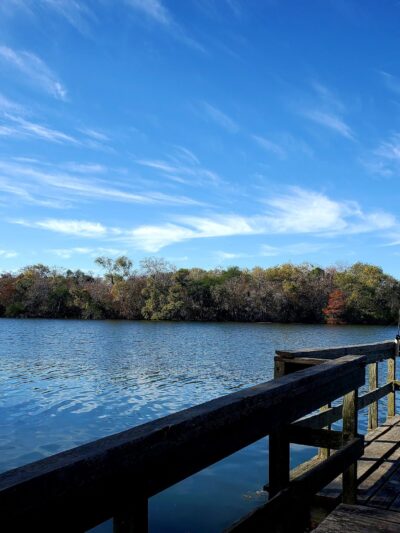 Lake Findley Park - Alice, TX