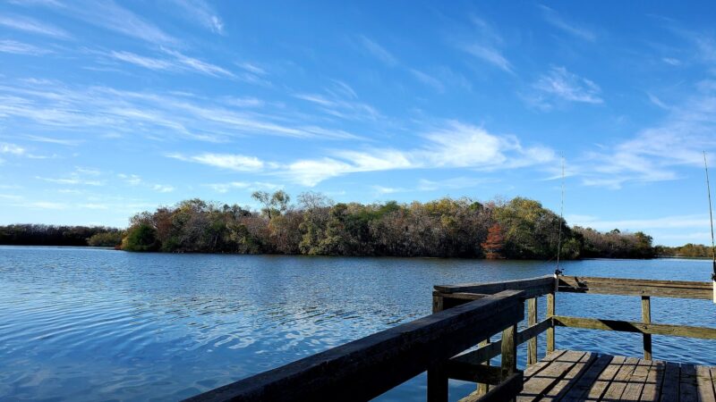Lake Findley Park - Alice, TX