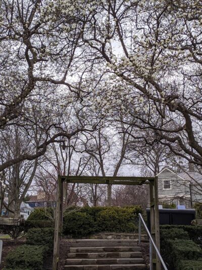 Allentown Parks - Allentown, PA