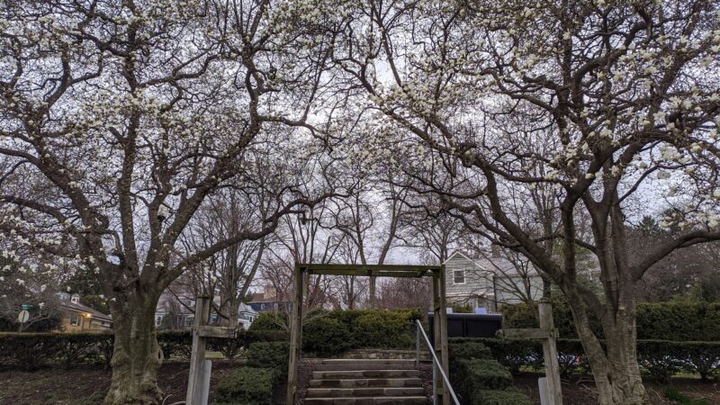 Allentown Parks - Allentown, PA