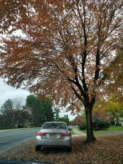 Allentown Parks - Allentown, PA