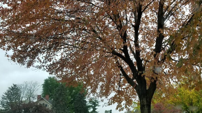 Allentown Parks - Allentown, PA