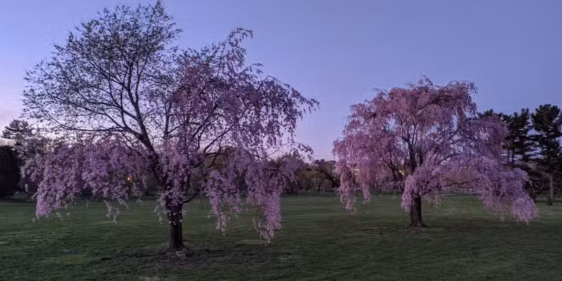 Allentown Parks - Allentown, PA
