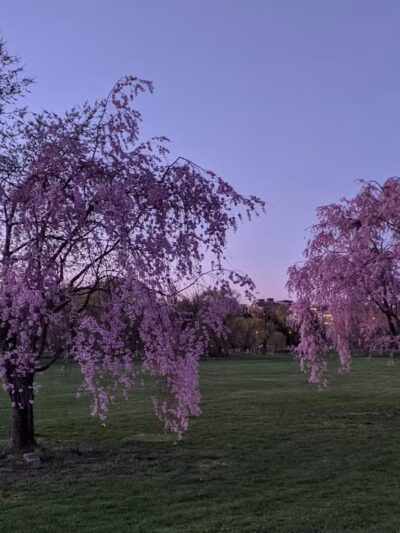 Allentown Parks - Allentown, PA