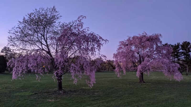 Allentown Parks - Allentown, PA