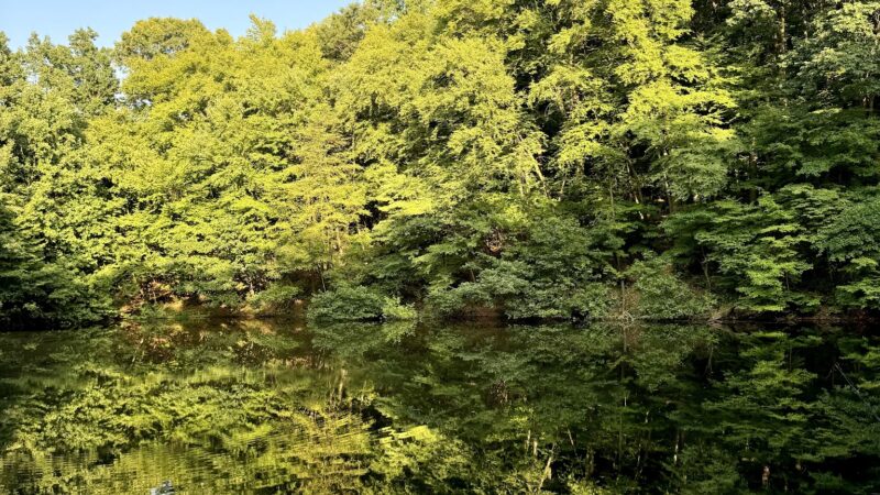 Allentown Reservoir Park - Allentown, PA