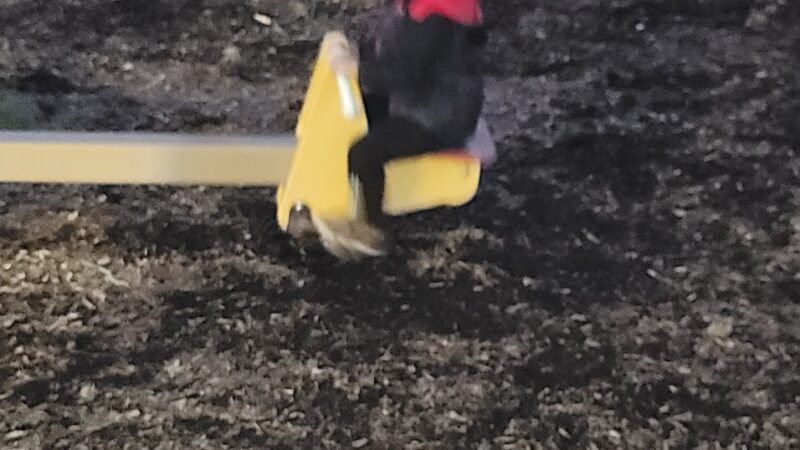 Alton Park - Allentown, PA