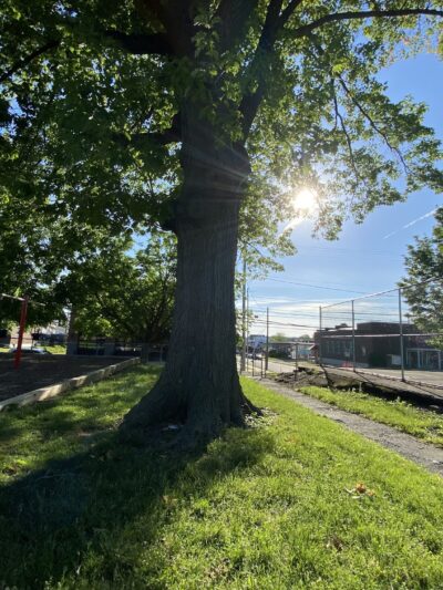 Andre Reed Park - Allentown, PA