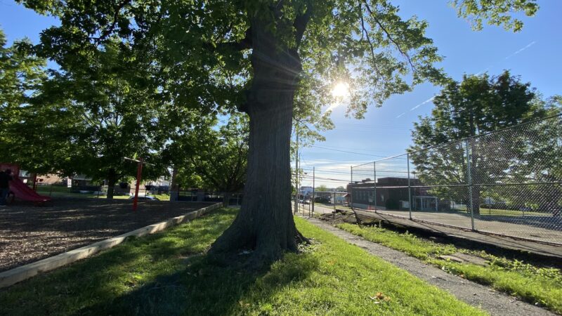 Andre Reed Park - Allentown, PA