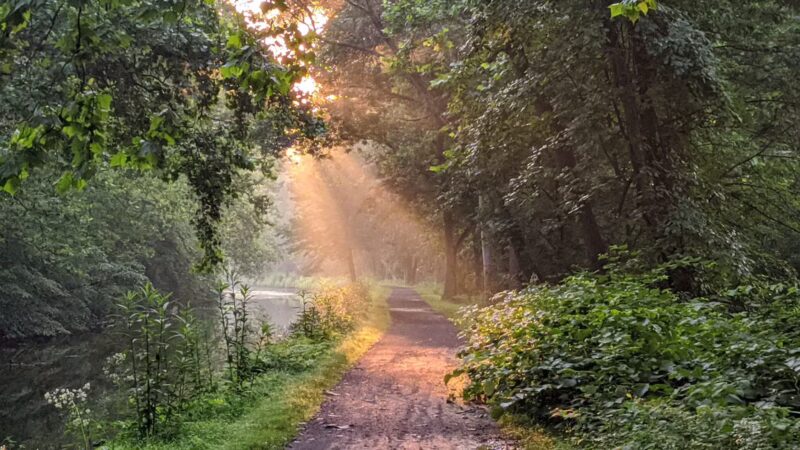 Canal Park - Allentown, PA