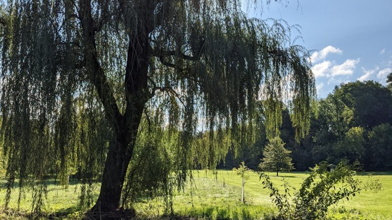 Cedar Beach Park - Allentown, PA
