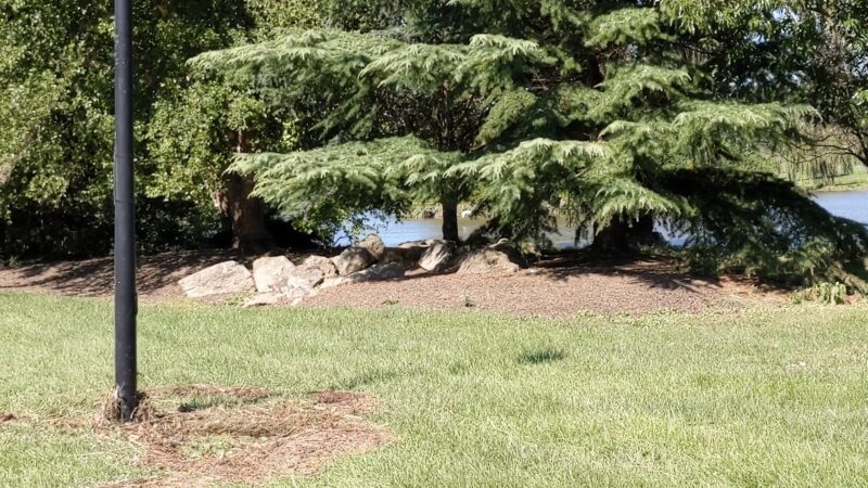 Cedar Beach Park - Allentown, PA