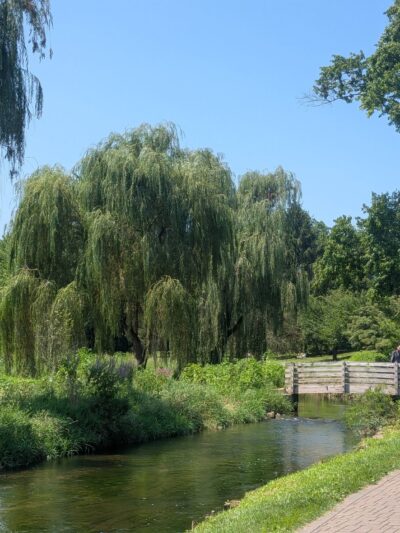 Cedar Beach Park - Allentown, PA