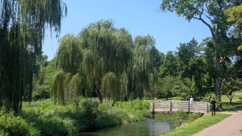 Cedar Beach Park - Allentown, PA