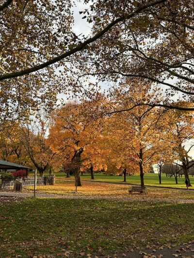 Cedar Creek Park - Allentown, PA