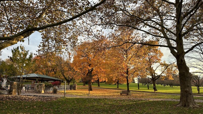 Cedar Creek Park - Allentown, PA