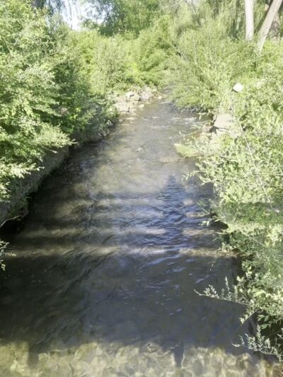 Cedar Creek Park - Allentown, PA