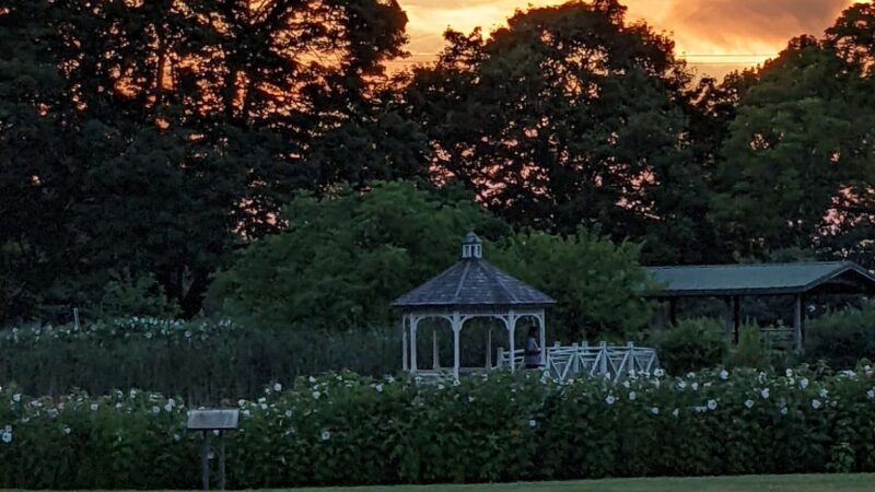 Franko Park - Allentown, PA