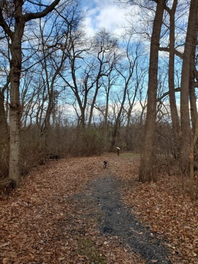 Franko Park - Allentown, PA