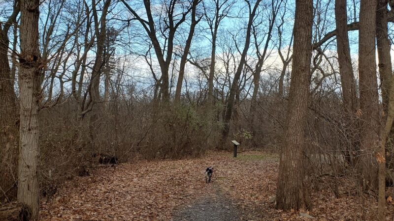 Franko Park - Allentown, PA